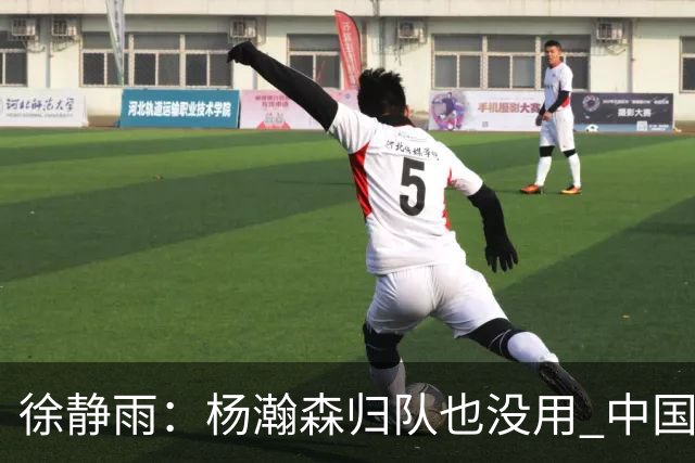 徐静雨：杨瀚森归队也没用 中国男篮跟日本已完全不是一个等级