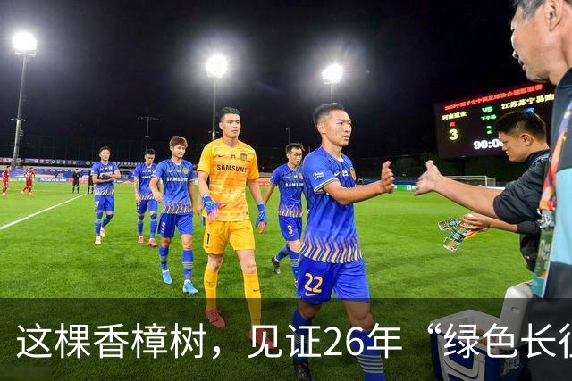 这棵香樟树，见证26年“绿色长征”